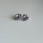 Classic Sparkle Solitaire Studs - Vinni’s Jewelry